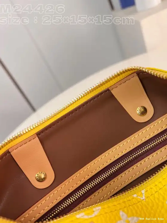 Aaa replica bags 25 Louis SPEEDY Vuitton 0529